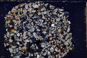 Cross Polarized, E23433