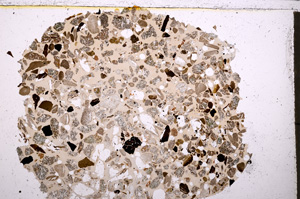 Plane Polarized, E23433