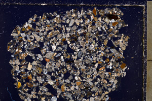 Cross Polarized, E23434