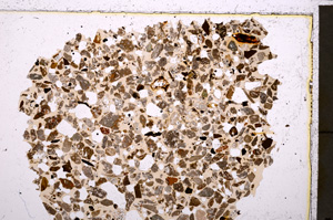 Plane Polarized, E23434