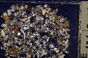 Cross Polarized, E23435