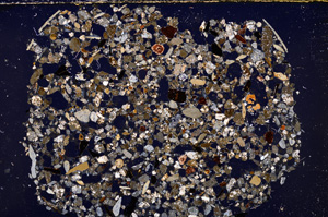 Cross Polarized, E23437