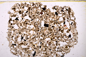 Plane Polarized, E23437