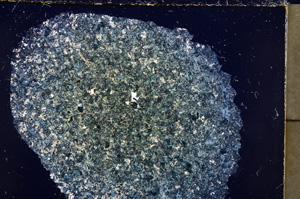 Cross Polarized, E23441