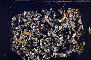 Cross Polarized, E23443