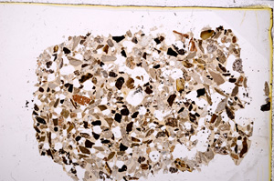 Plane Polarized, E23443