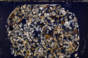 Cross Polarized, E23444