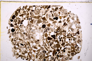 Plane Polarized, E23444