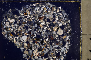 Cross Polarized, E23445