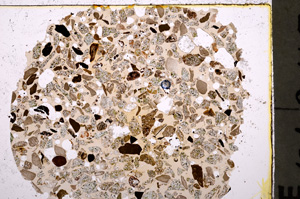 Plane Polarized, E23446