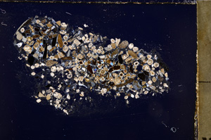 Cross Polarized, E23455