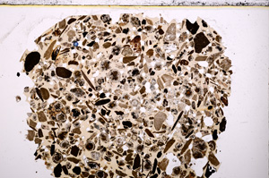 Plane Polarized, E23456