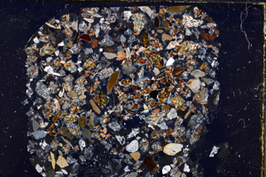 Cross Polarized, E23459