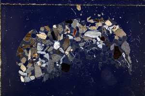 Cross Polarized, E23461