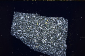 Cross Polarized, E23463