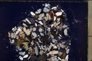 Cross Polarized, E23471