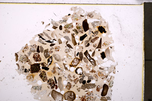 Plane Polarized, E23471