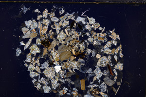 Cross Polarized, E23472