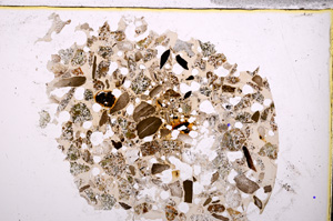 Plane Polarized, E23472