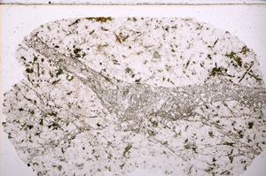 Plane Polarized, E23481