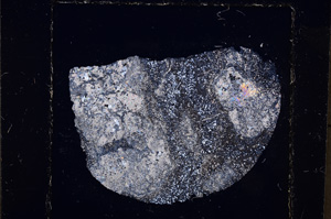 Cross Polarized, E23483