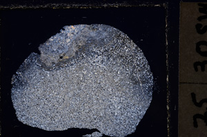 Cross Polarized, E23484