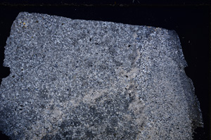 Cross Polarized, E23497