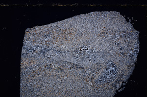 Cross Polarized, E23511