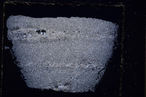 Cross Polarized, E23523