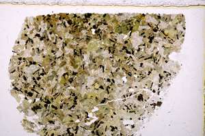 Plane Polarized, E23524