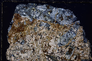 Cross Polarized, E23527