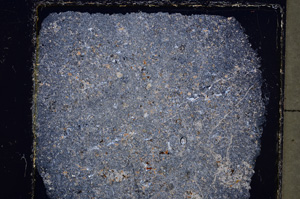 Cross Polarized, E23531