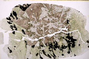 Plane Polarized, E23542