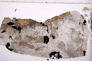Plane Polarized, E23543