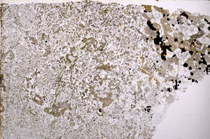 Plane Polarized, E23544