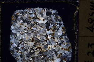 Cross Polarized, E23552
