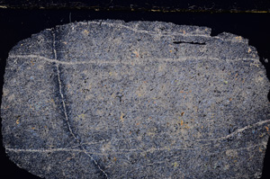 Cross Polarized, E23563