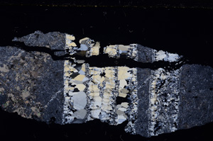 Cross Polarized, E23573