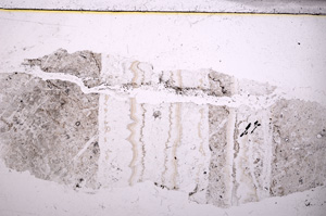 Plane Polarized, E23573