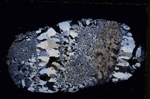 Cross Polarized, E23575