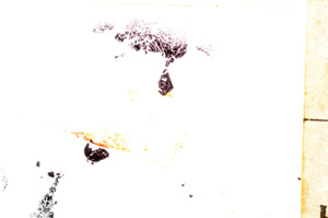 Plane Polarized, E23577