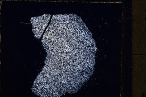 Cross Polarized, E23578