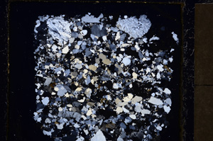 Cross Polarized, E23595