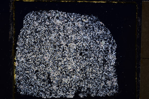 Cross Polarized, E23596