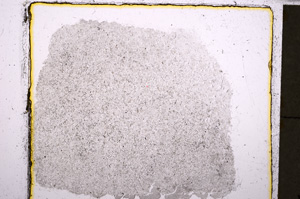 Plane Polarized, E23596