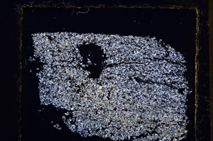 Cross Polarized, E23614