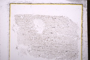 Plane Polarized, E23614