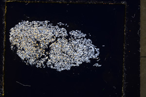 Cross Polarized, E23615