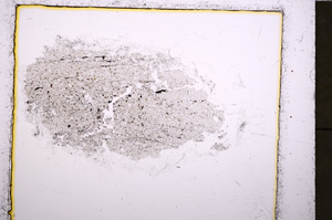 Plane Polarized, E23615