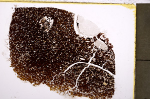 Plane Polarized, E23625